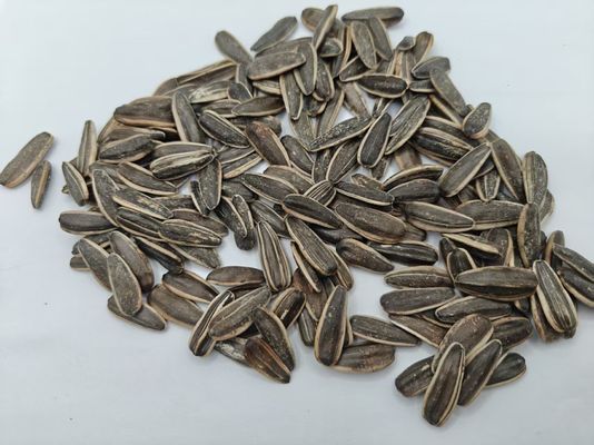 Salt Vinegar Sunflower Seeds