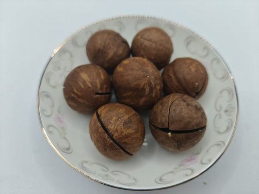 جوز المكاداميا