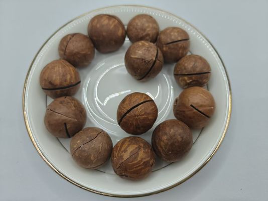 جوز المكاداميا