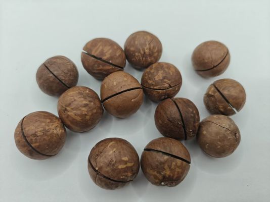 جوز المكاداميا