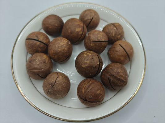 جوز المكاداميا