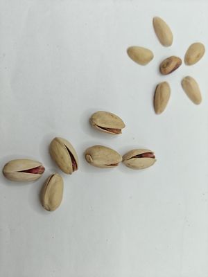 أرضِ الرغبة فستق محمص مملح بقشره عينة مجانية