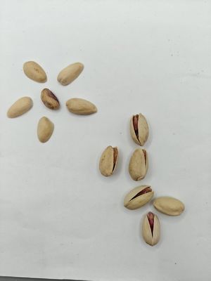 أرضِ الرغبة فستق محمص مملح بقشره عينة مجانية