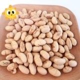 الكوشير الحلال المعتمد المغطى المحمص الحارص الأصفر إدامام فول الصويا الوجبات الخفيفة المعتمدة من قبل ISO
