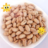 إدامامي أصفر مشوي ومغطى وبهارات حارة حلال وكوشير