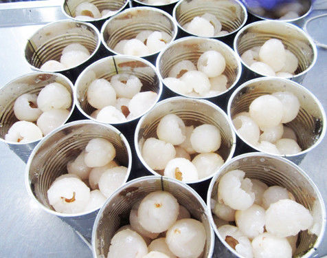 الرعاية الصحية لا السكر المضافة الفواكه المعلبة لا الصباغ منخفض السعرات الحرارية طويل الجرف الحياة