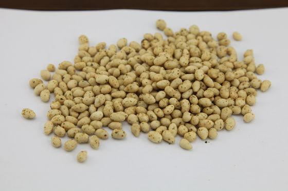 كوشير معتمد بذور عباد الشمس وجبة خفيفة ، بذور عباد الشمس المحمص لذيذ نكهة