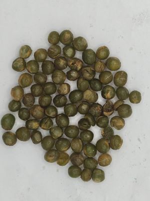 الثوم الذهبي الأسود الفاكهة من فول الصويا الأخضر