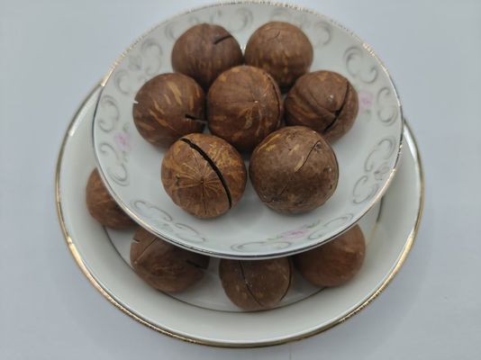 جوز المكاداميا